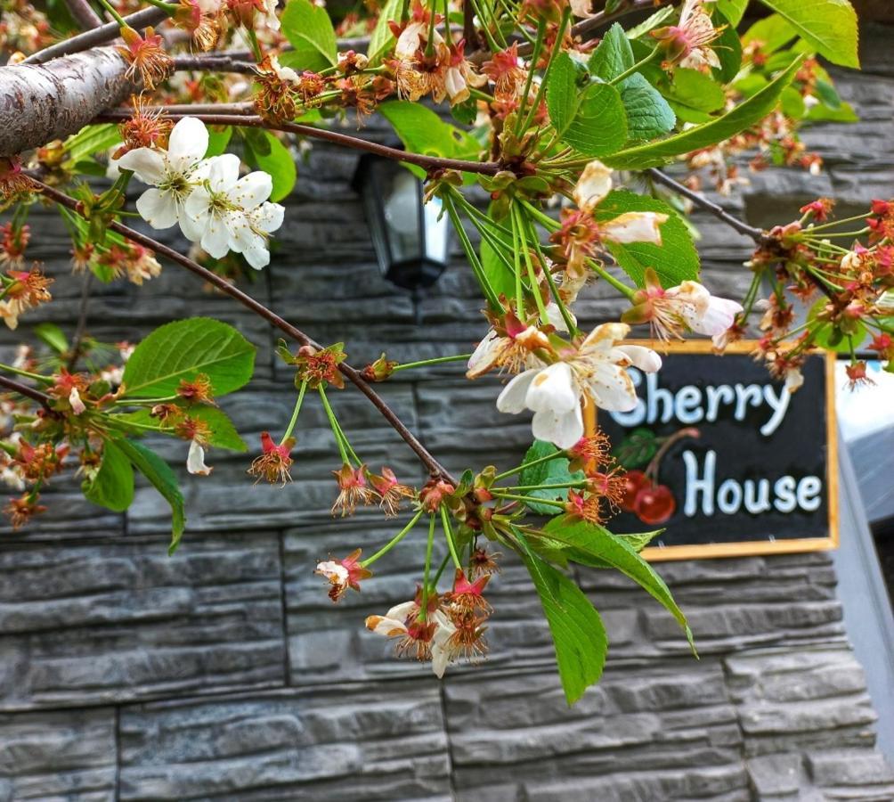 Cherry House Kazbegi Ngoại thất bức ảnh