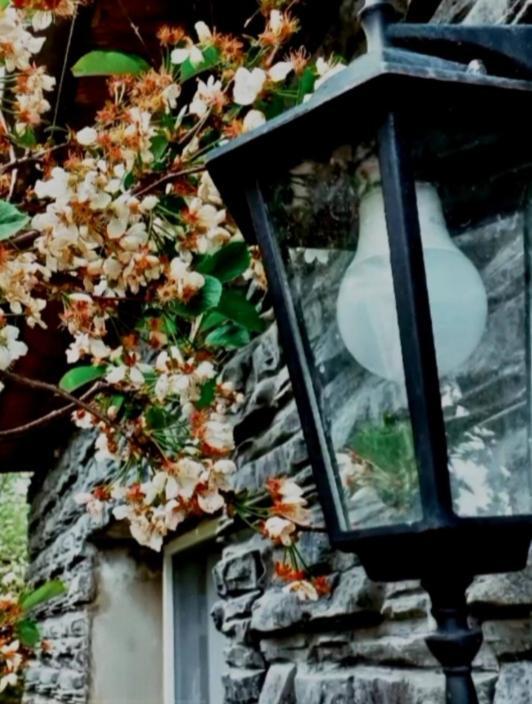 Cherry House Kazbegi Ngoại thất bức ảnh
